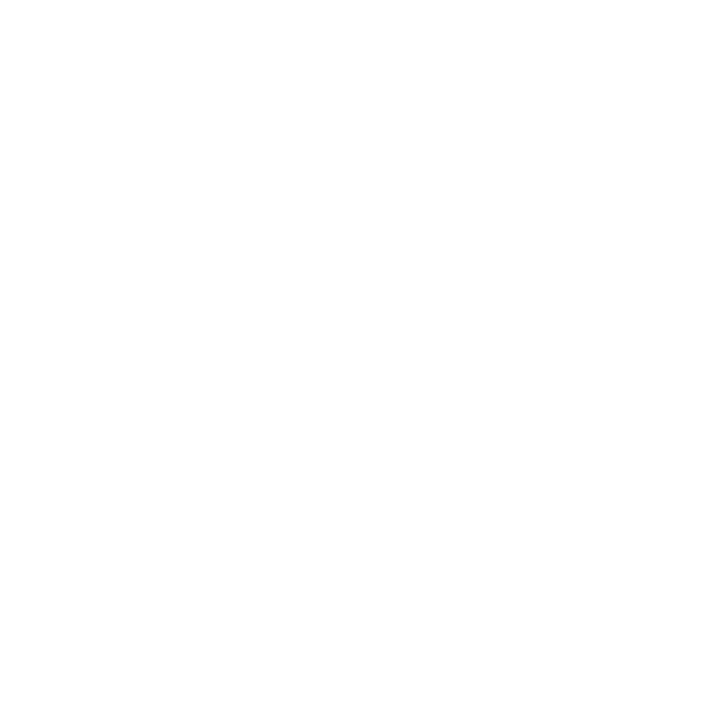 Villa's Taekwondo icon